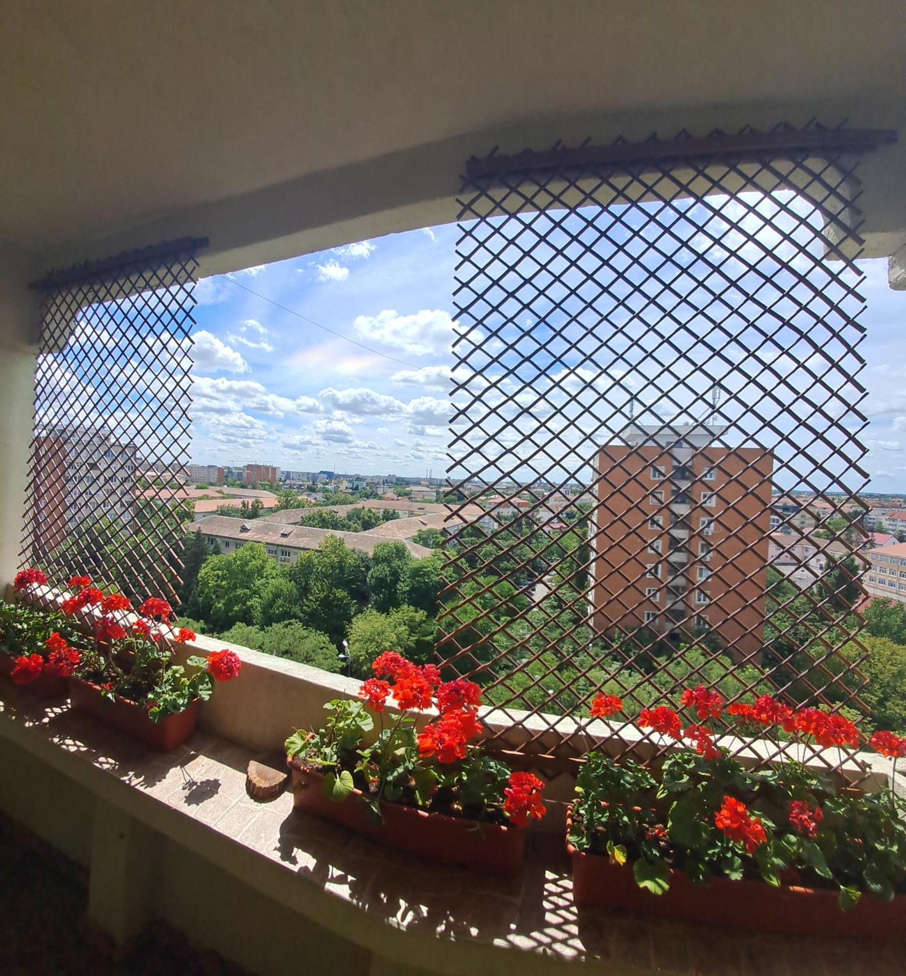 Appartamento Happy Station Timisoara Camera foto